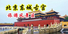 黑丝美女自慰喷水中国北京-东城古宫旅游风景区